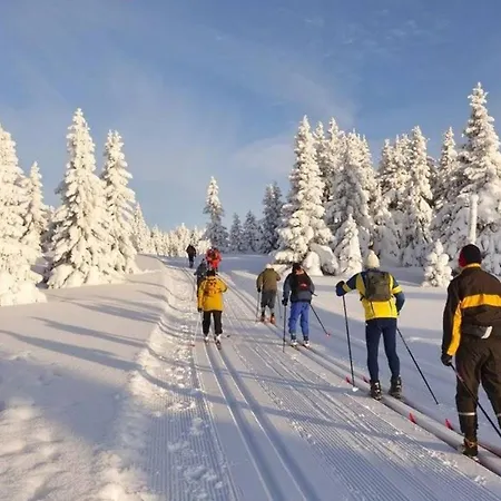 Peter Lipno - *