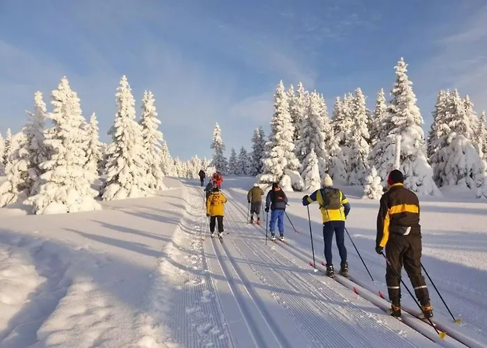 Lipno *
